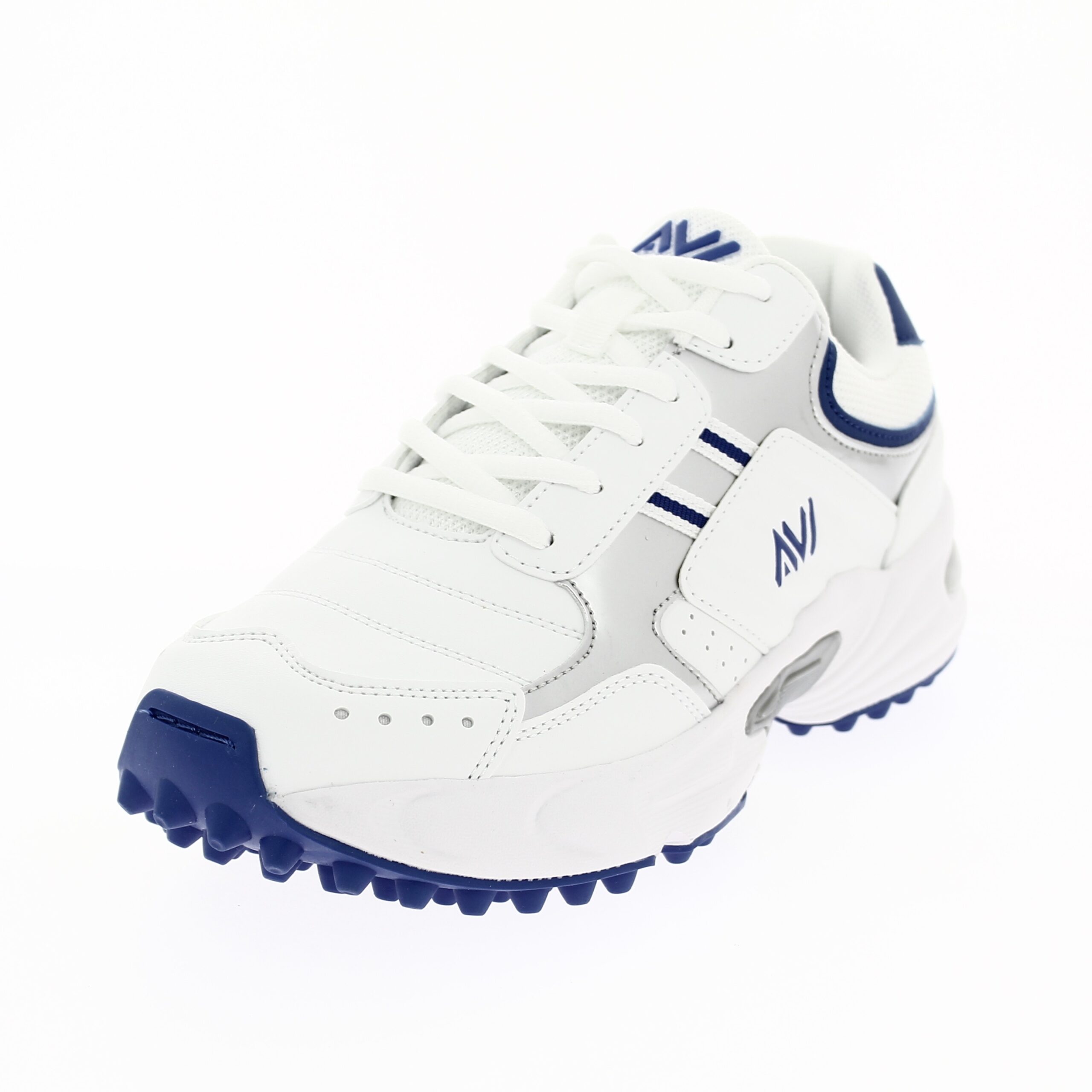 AVI Men Sports Lacing Shoes BLUE