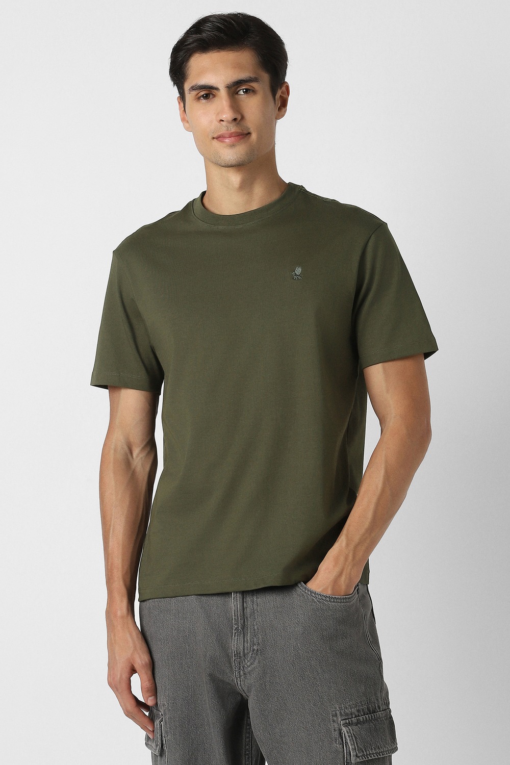 Peter England Men Casual Tshirt Light Green