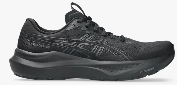 ASICS GT-2000 14